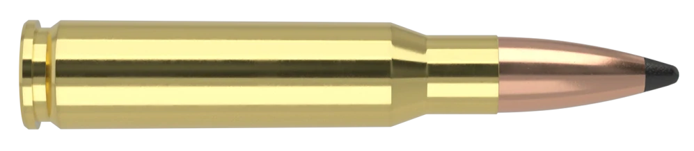 308 Winchester 165gr Solid Base® Whitetail Country™
