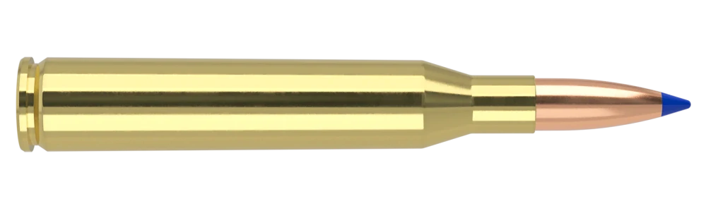 25-06 Remington 115gr Ballistic Tip Hunting
