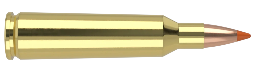 22-250 Remington 40gr Ballistic Tip Lead Free Varmint