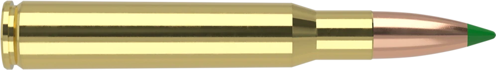 30-06 Springfield 180gr Ballistic Tip Hunting