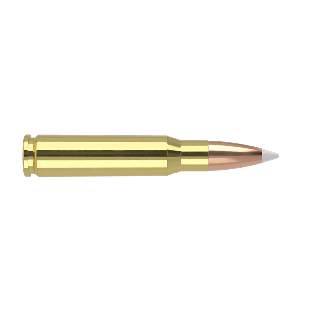 308 Win 165gr AccuBond Trophy Grade