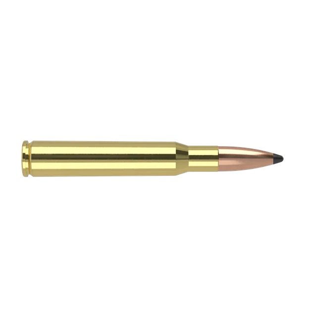 30-06 Springfield 165gr Partition Trophy Grade