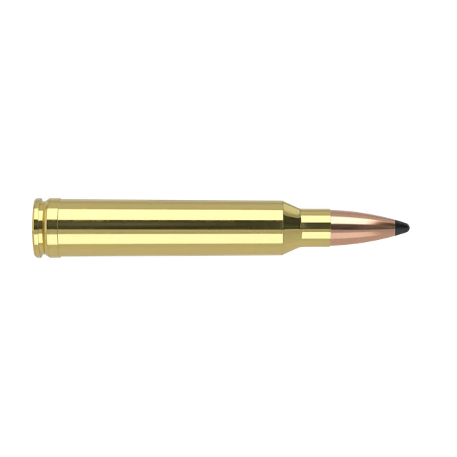 300 Win Mag 200gr Partition Trophy Grade