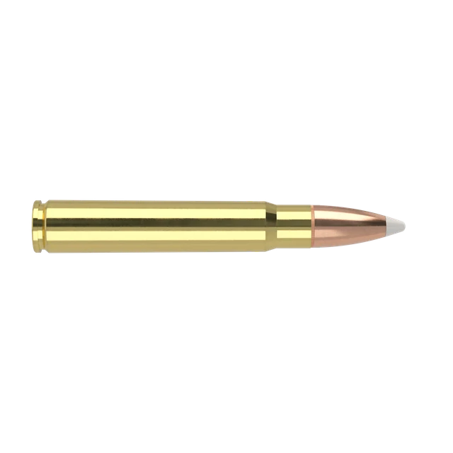 9.3x62 Mauser 250gr AccuBond Trophy Grade