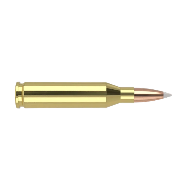 243 Win 90gr AccuBond Trophy Grade