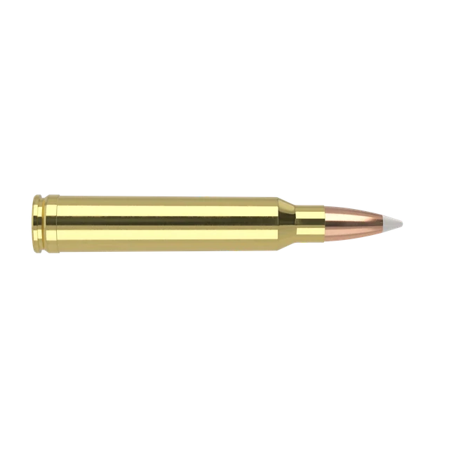 300 Win Mag 180gr AccuBond Trophy Grade