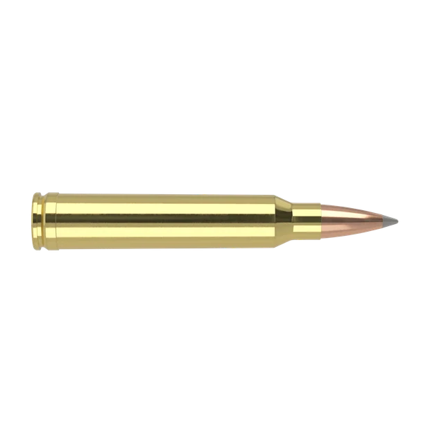 300 Win Mag 190gr AccuBond Long Range Trophy Grade
