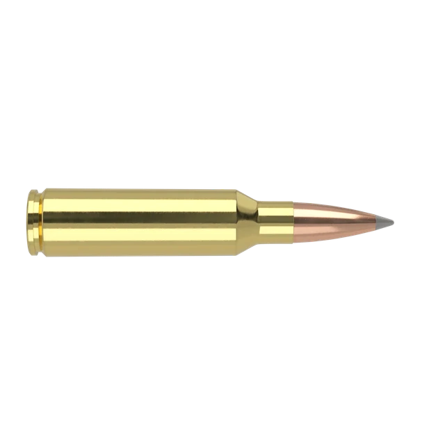 300 WSM 190gr AccuBond Long Range Trophy Grade