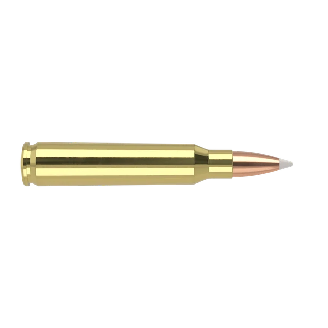 223 Rem. 70gr AccuBond Trophy Grade