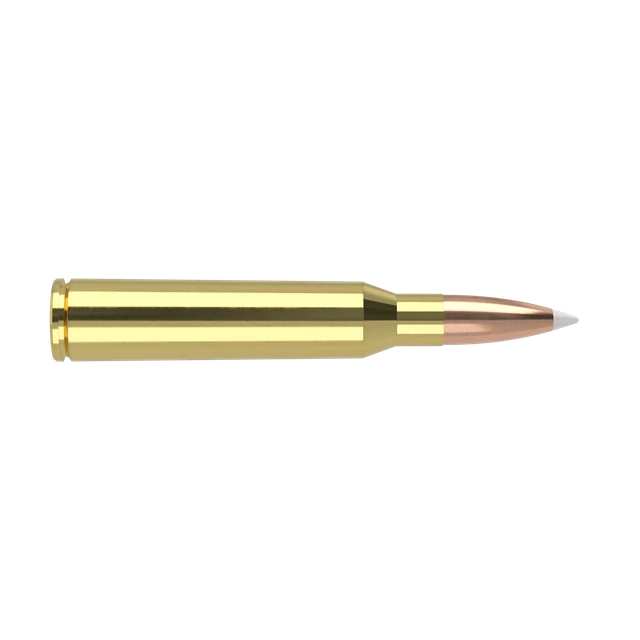 338 Lapua 300gr AccuBond Trophy Grade