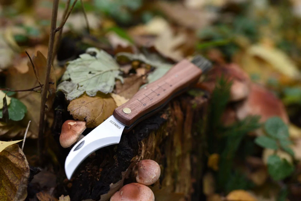 Nôž 7000. Mushroom pocket knife