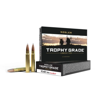 9.3x62 Mauser 250gr AccuBond Trophy Grade